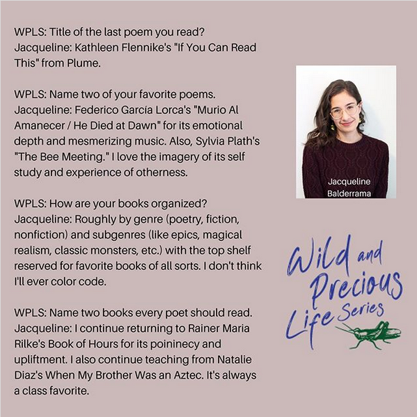 Wild and Precious Life Series_Instagram Q&A